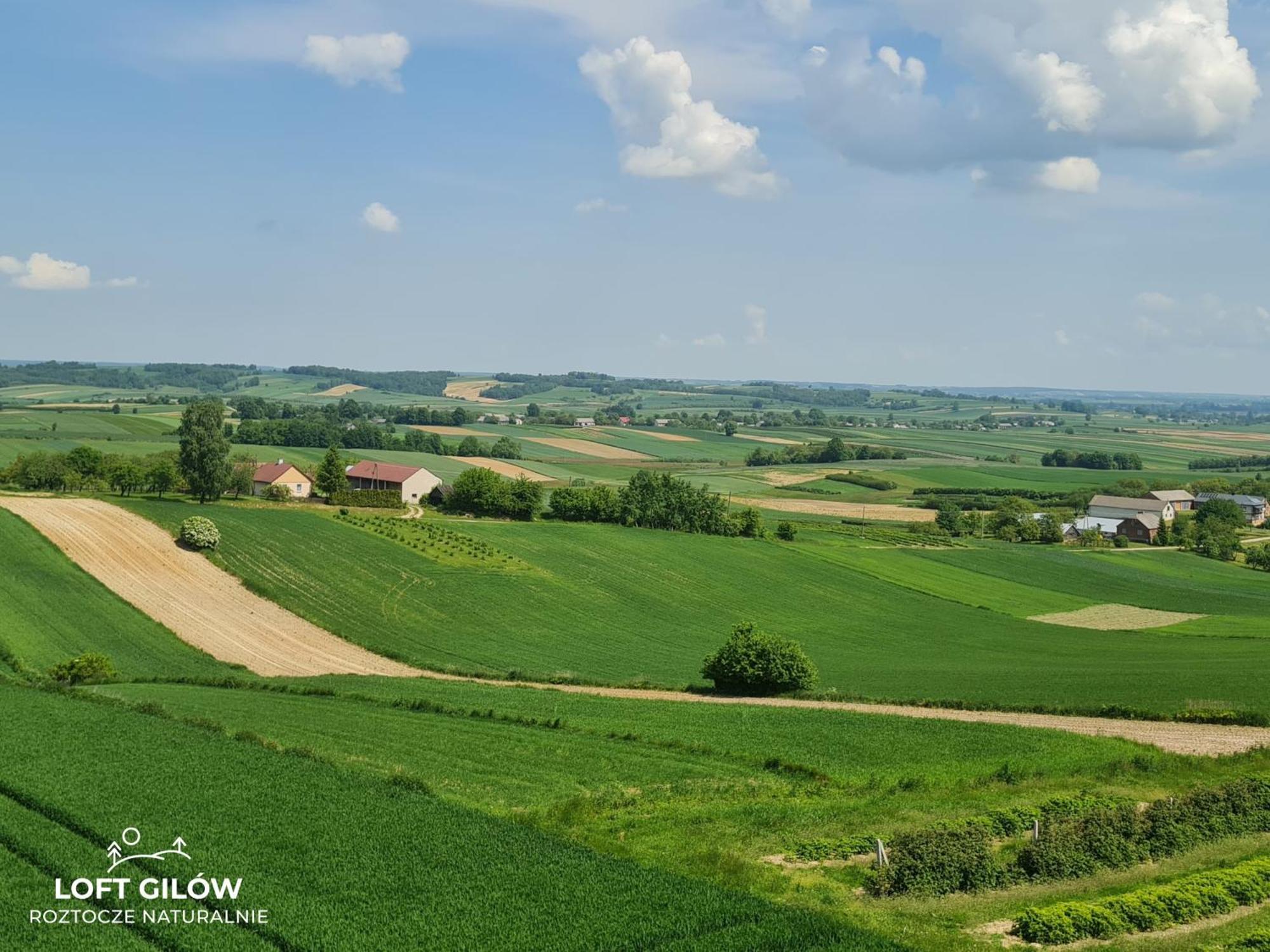 LOFT GILÓW Roztocze Exterior foto